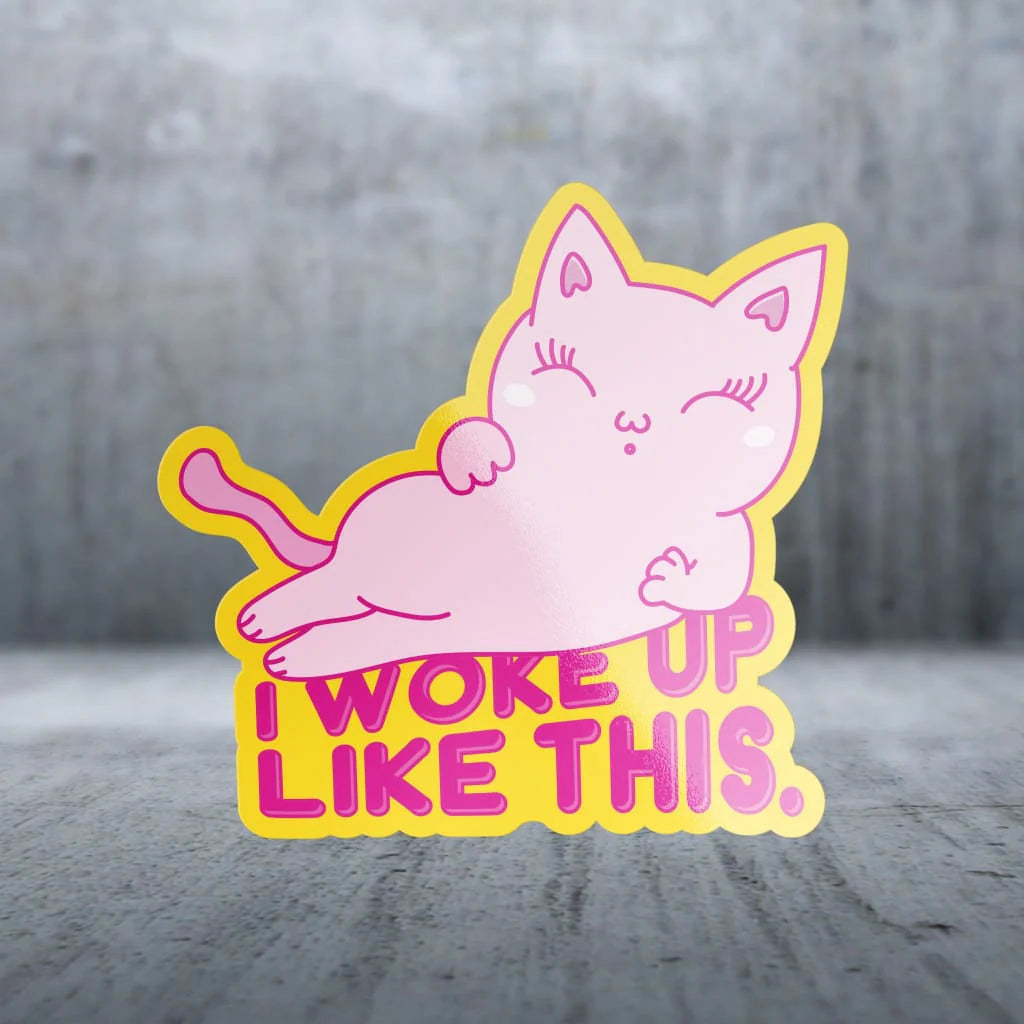 Sticker Pack Sticker- LRG I Woke up Like This - Dog.Dog.Cat.