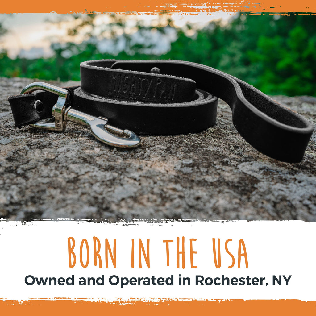 Mighty Paw - Leather Dog Leash (Distressed) - Dog.Dog.Cat.