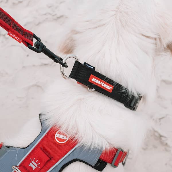 Ezydog Track & Train Leash - Dog.Dog.Cat.