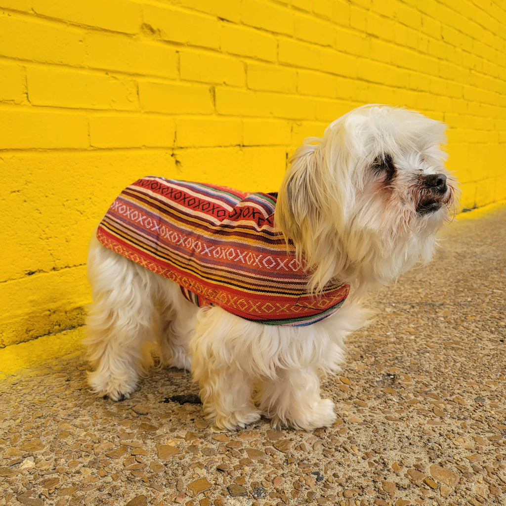 Walking Palm - 100% Hand-Woven Dog Poncho - Salsa - Dog.Dog.Cat.