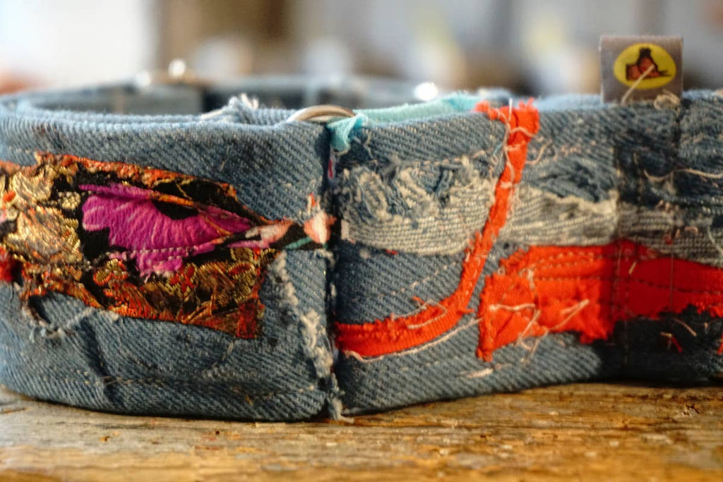 hundsfutter - “Easy” anti-escape dog collar - mixed media jeans - Dog.Dog.Cat.