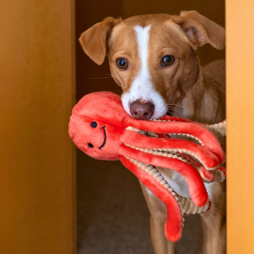 Fluff and Tuff Dog Toy - Squirt Octopus  : 8" - Dog.Dog.Cat.