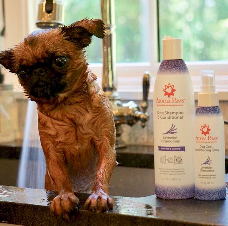 Aroma Paws - 13.5 Oz. Shampoo Lavender Chamomile - Dog.Dog.Cat.