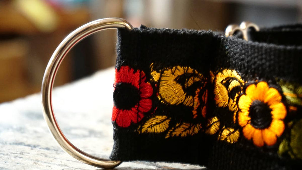 hundsfutter - Wide collar anti escape design - Dog.Dog.Cat.