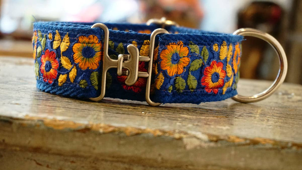 hundsfutter - “Summertime” wide collar for large and medium dogs - Dog.Dog.Cat.