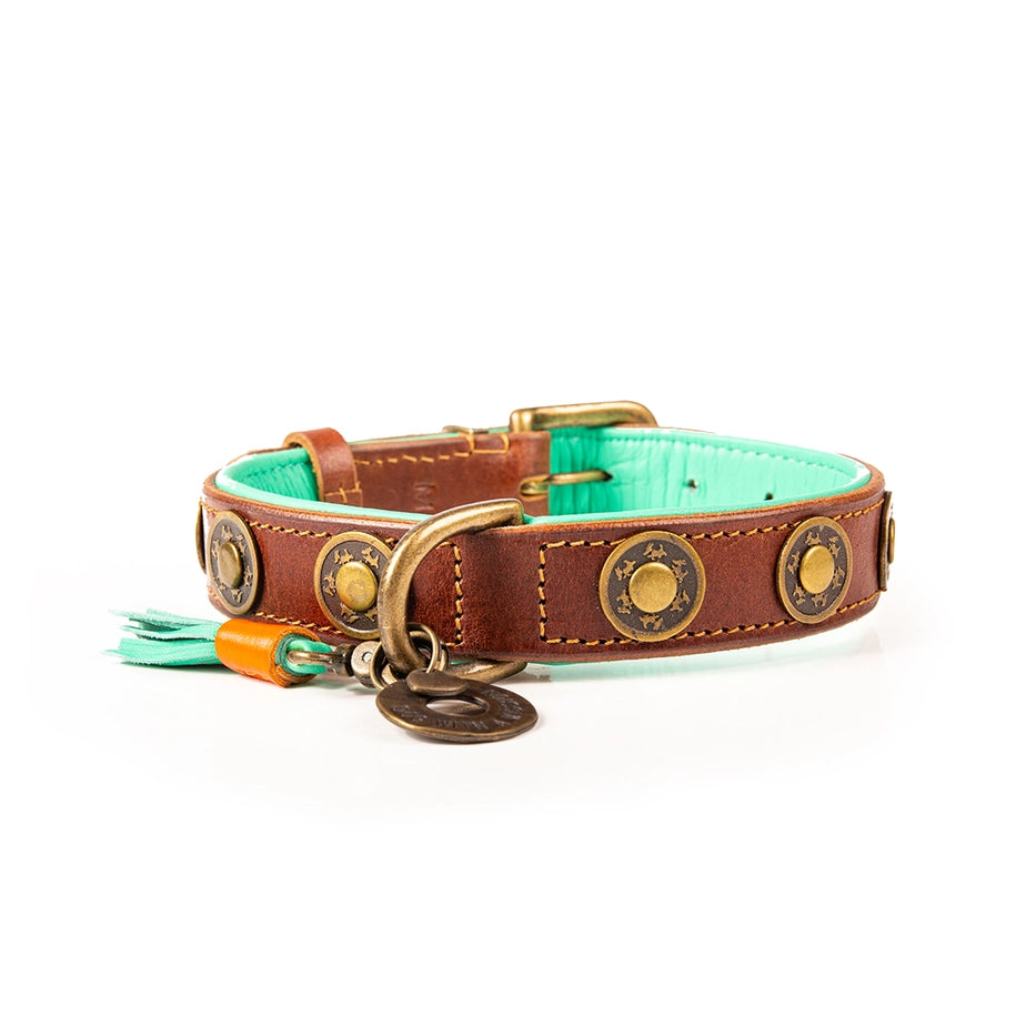 Dog with a Mission Leather Dog Collar-Urban & Urban Wide - Dog.Dog.Cat.