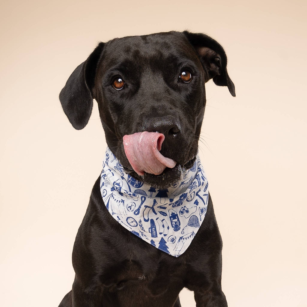 The Paws - Wander Dog Bandana - Dog.Dog.Cat.