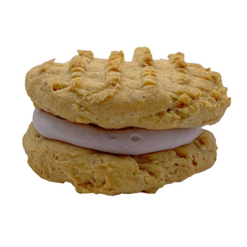 Old Fashion Peanut Butter Organic Dog Cookie and Organic Jelly Sam'ich - Dog.Dog.Cat.