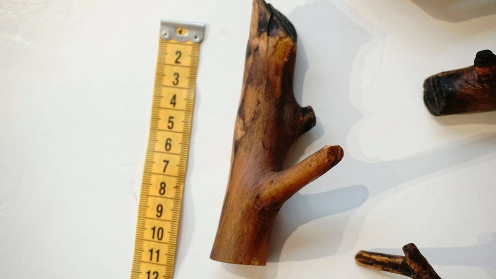 hundsfutter - 7 tethers for small and mini dogs - Dog.Dog.Cat.