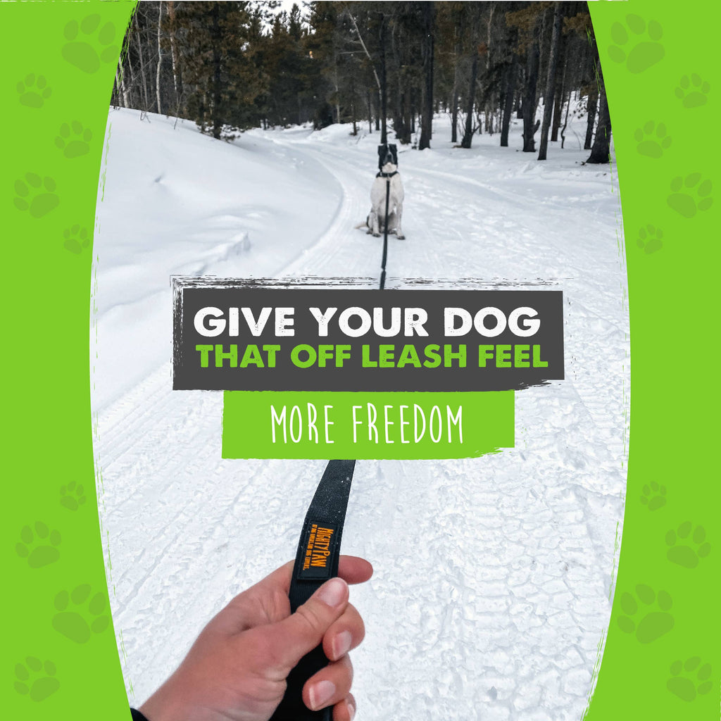 Mighty Paw - Long Dog Leash - Dog.Dog.Cat.