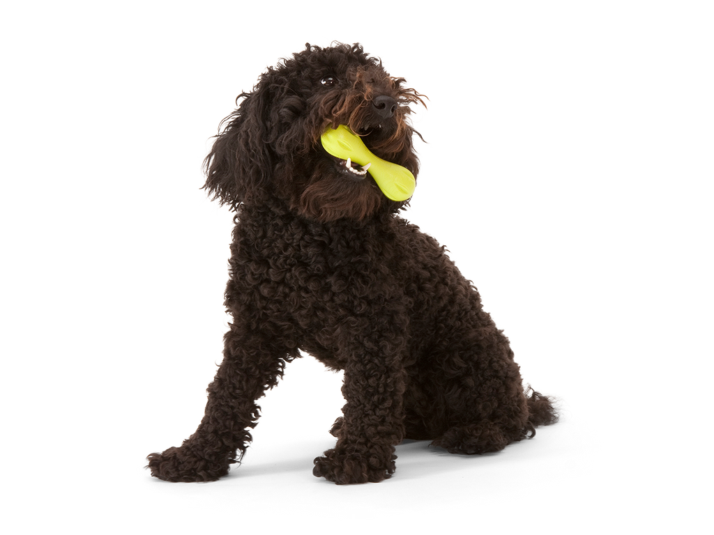 West Paw - Hurley® Dog Toy for Chew, and Fetch - Dog.Dog.Cat.