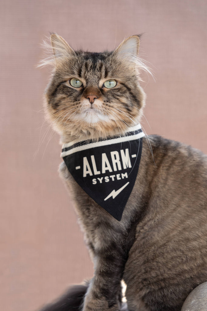 Brass Monkey - Alarm System Small Pet Bandana - Dog.Dog.Cat.