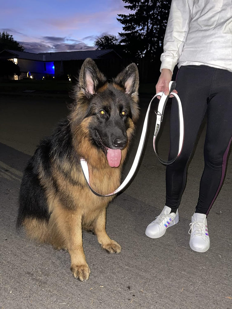 Cycle Dog Reflective Collar Wide Silver Reflective - Dog.Dog.Cat.