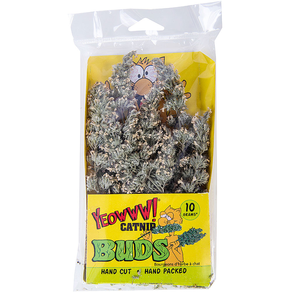 Yeowww! Catnip Buds - Dog.Dog.Cat.