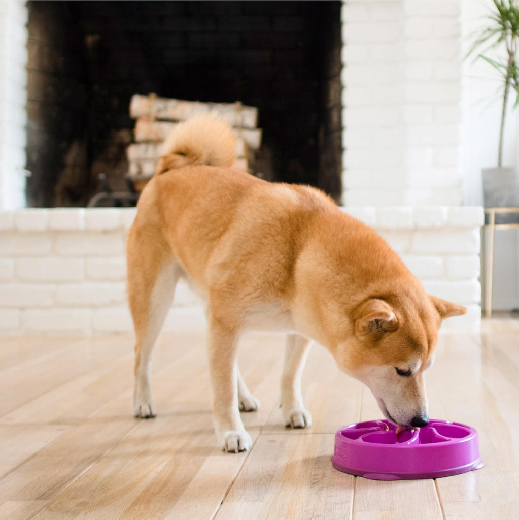 Outward Hound Fun Feeder Interactive Dog Bowl for Slow Feeding and Mealtime Enrichment - Dog.Dog.Cat.