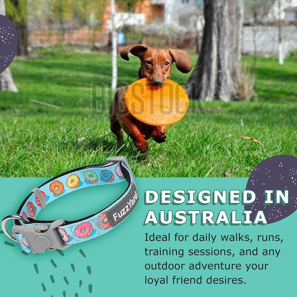 Fuzzyard Dog Collar and Leash - You Drive Me Edition in Multiple Sizes - Dog.Dog.Cat.