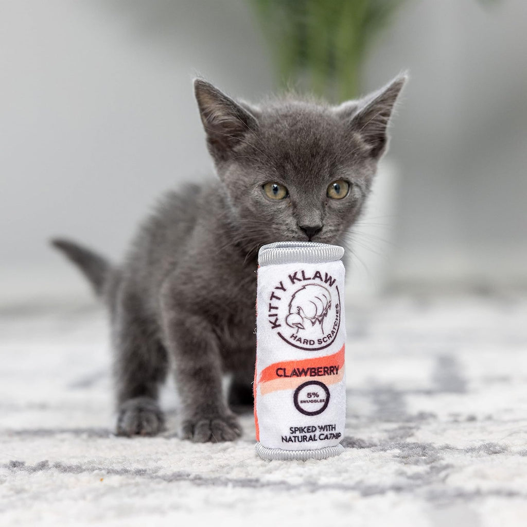 Kitty Klaw Clawberry Cat Toy - Dog.Dog.Cat.