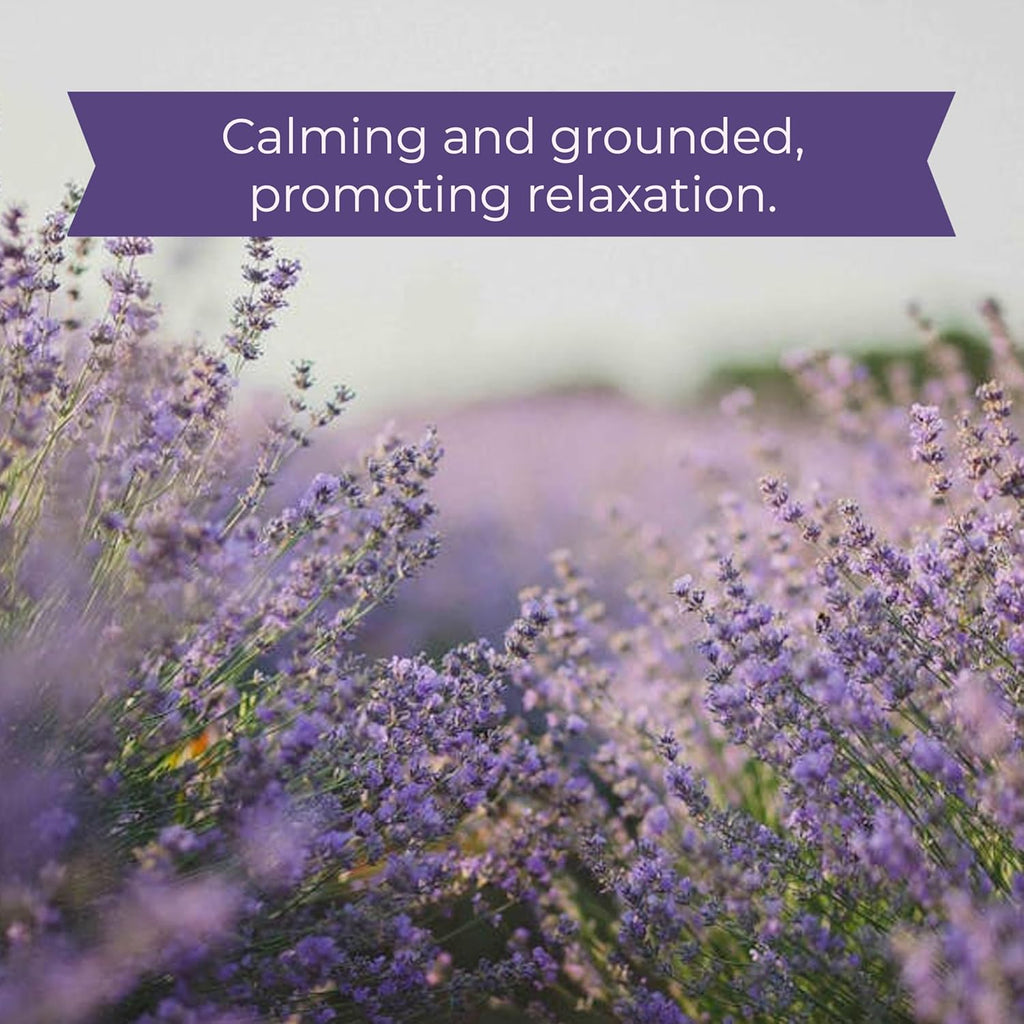 Skout Probiotic Shampoo & Conditioner - Lavender : 16 oz - Dog.Dog.Cat.