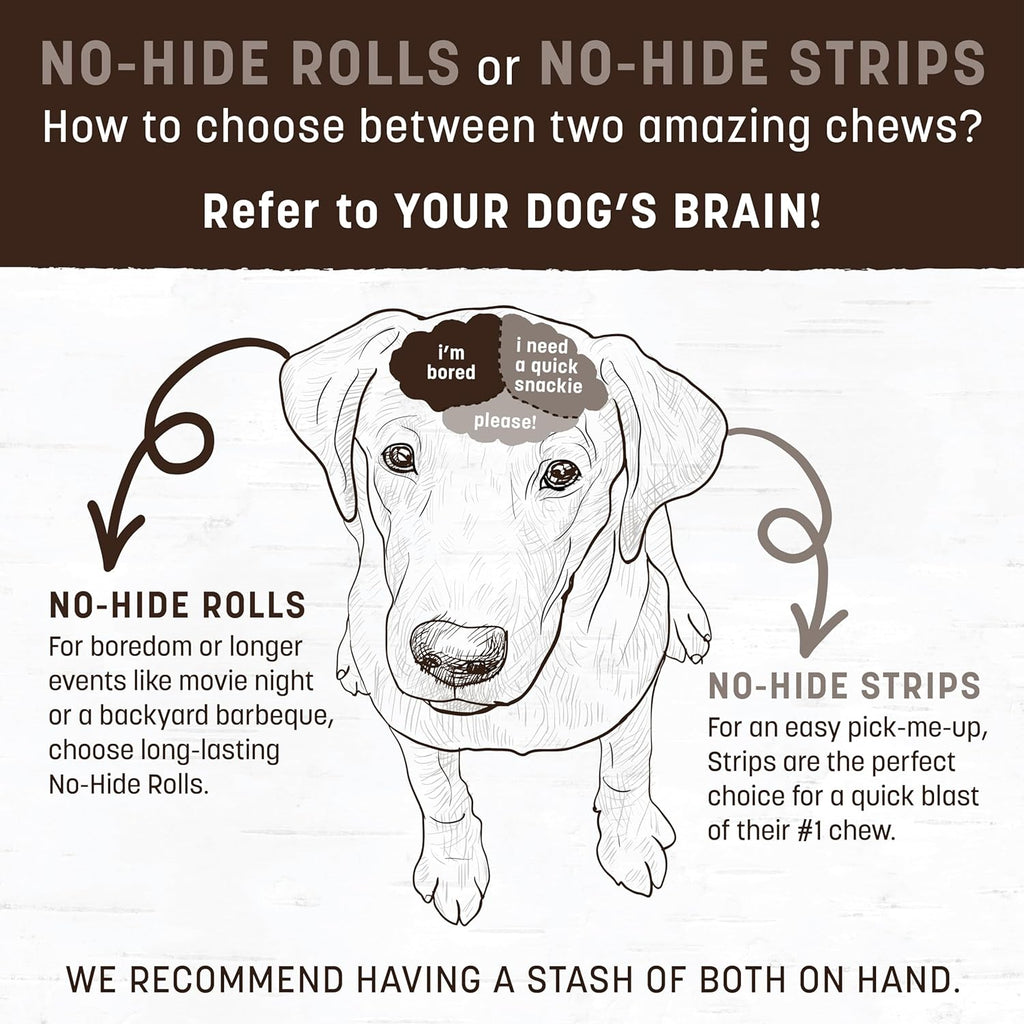 Earth Animal No Hide Chew Stix - Mini - Dog.Dog.Cat.