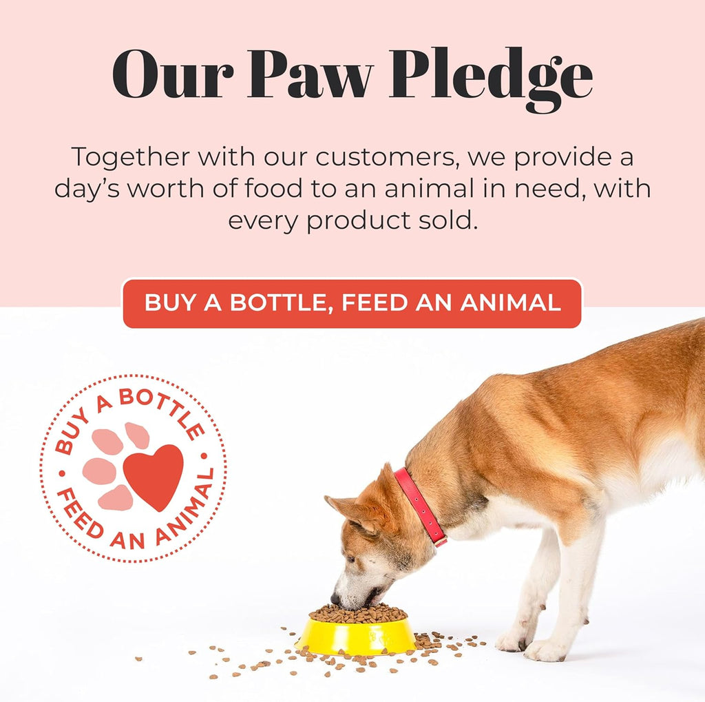 Skout's Honor Probiotic Shampoo+Conditioner Sunkissed Coconut - Dog.Dog.Cat.