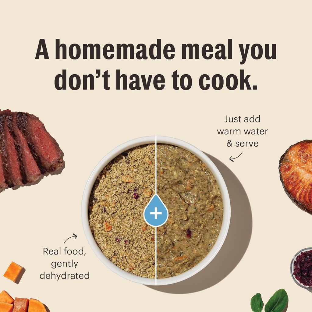 The Honest Kitchen Human Grade Dehydrated Grain Free Dog Food – Complete Meal or Dog Food Topper – Fish 10 lb (makes 40 lbs) - Dog.Dog.Cat.