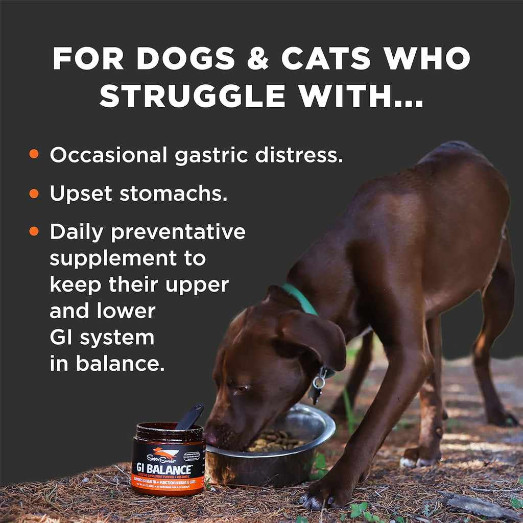 Super Snouts Supplements-GI Balance : 3.5 oz - Dog.Dog.Cat.