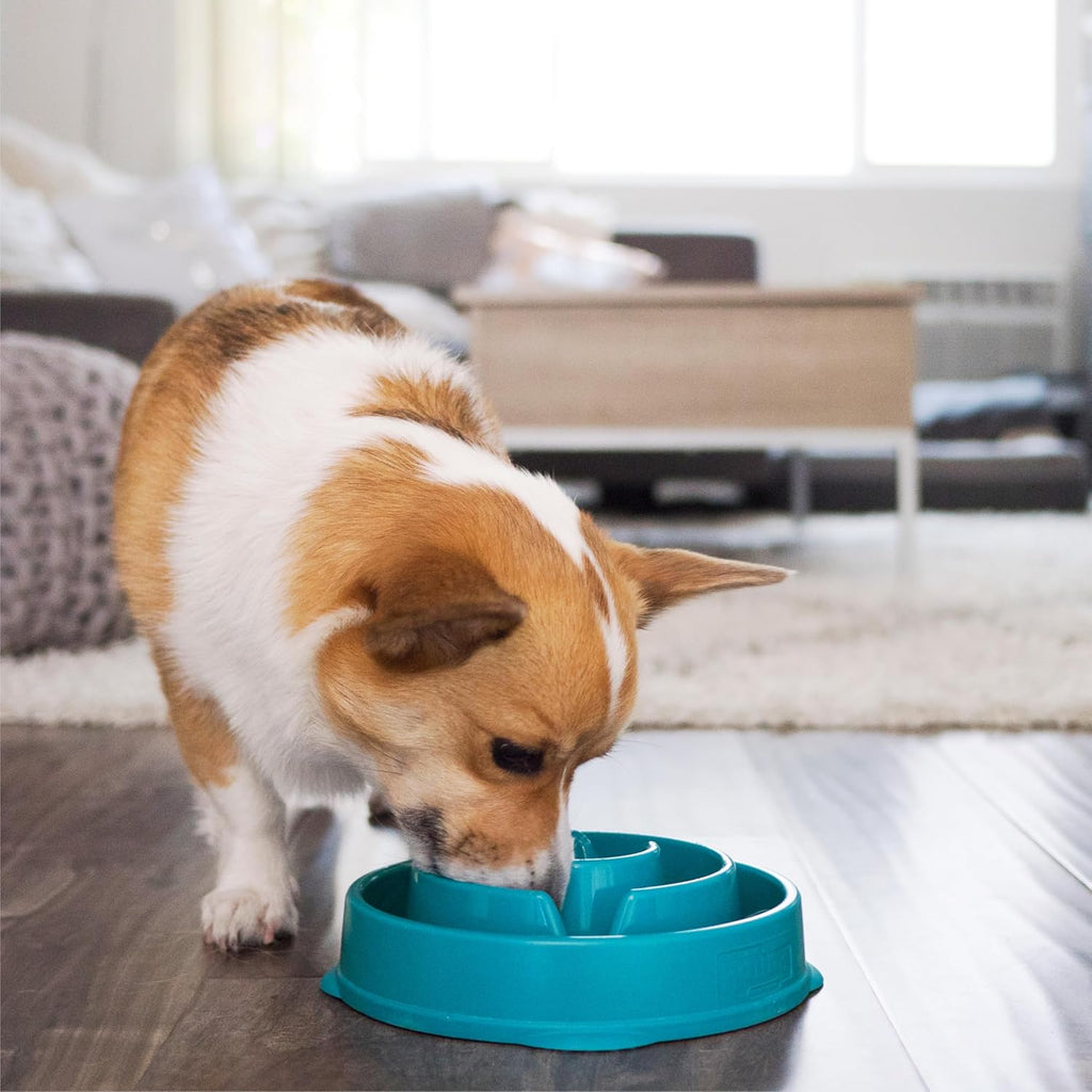 Outward Hound Fun Feeder Interactive Slow Feeder Bowl for Dogs - Dog.Dog.Cat.