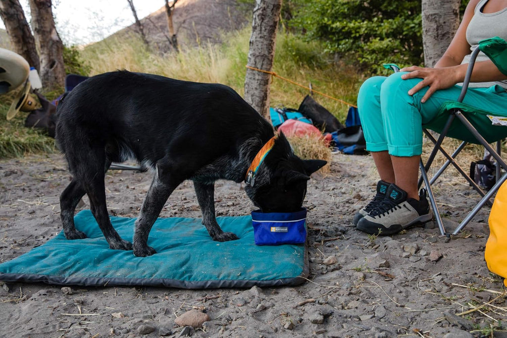 RuffWear Quencher Travel Dog Bowl - Dog.Dog.Cat.