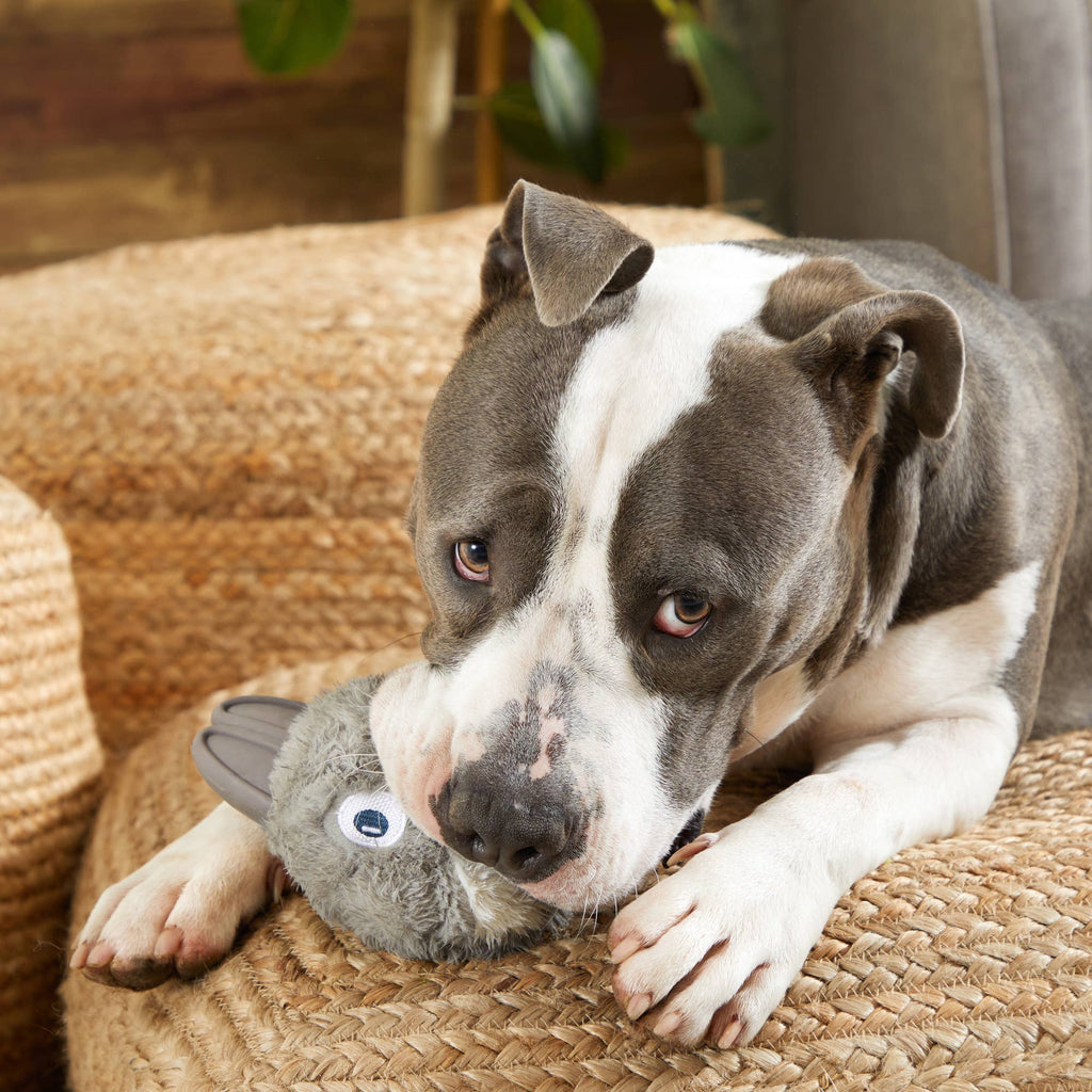 BARK Hare Raiser Rabbit Rubber Super Chewer Dog Toy Grey Med - Dog.Dog.Cat.