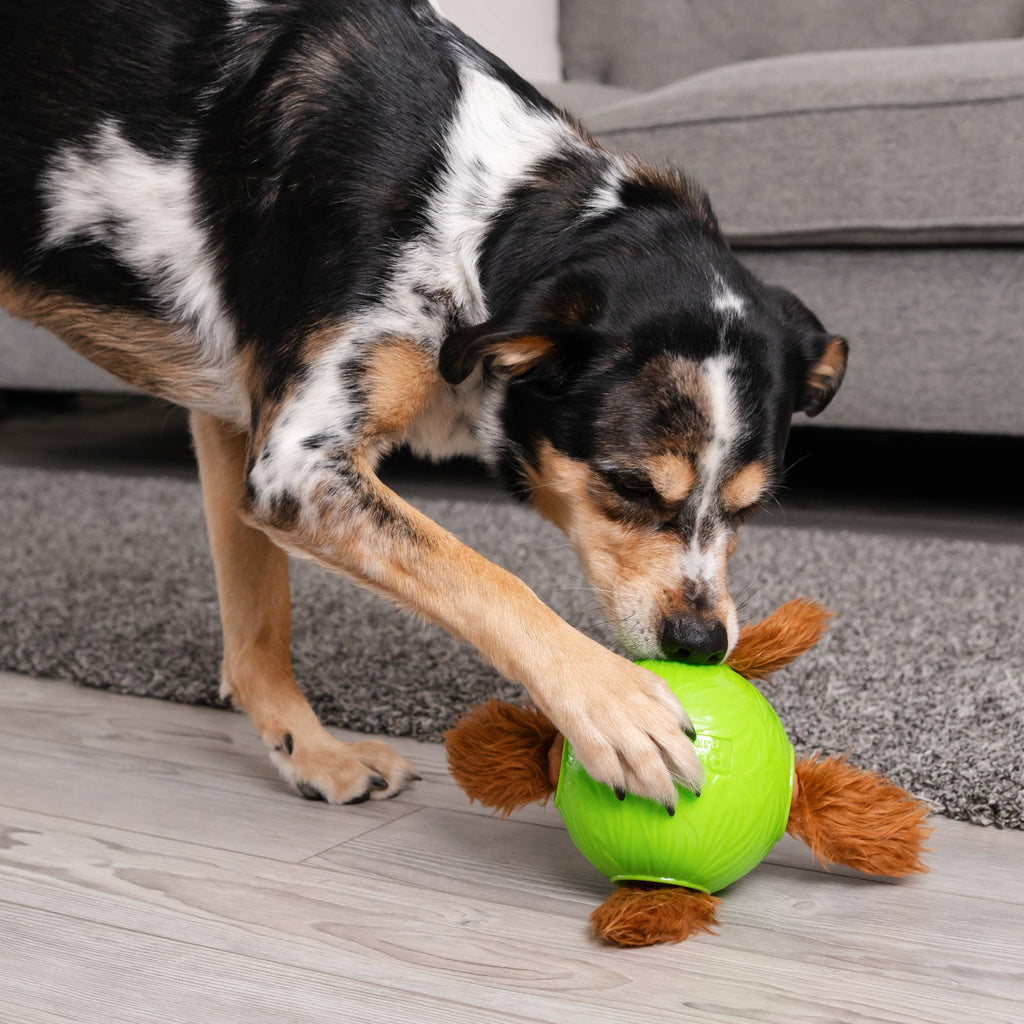Nina Ottosson Snuffle N' Treat Ball TNT Dog Puzzle Toy Green - Dog.Dog.Cat.