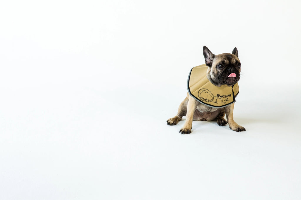 All Four Paws - The Original Comfy Cone - Dog.Dog.Cat.