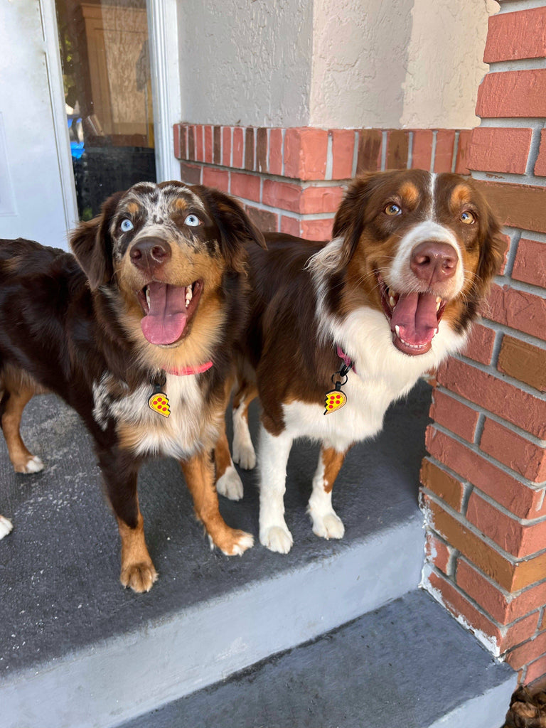 Besties Pets - Pizza Your Heart BFF Silicone Pet ID Tag Set - Dog.Dog.Cat.