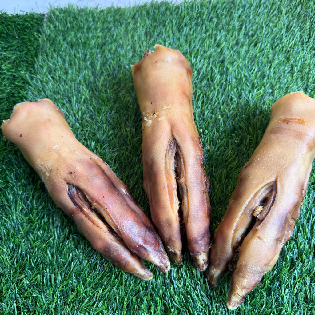 Golden Nibbles - Pork Trotter/Pig Foot - 8-9 in - Long Lasting Chew For Dogs - Dog.Dog.Cat.