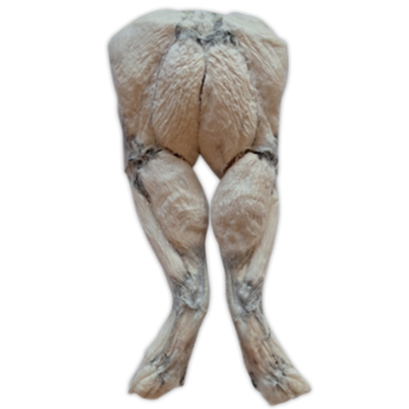 freeze dried frog legs dog treat