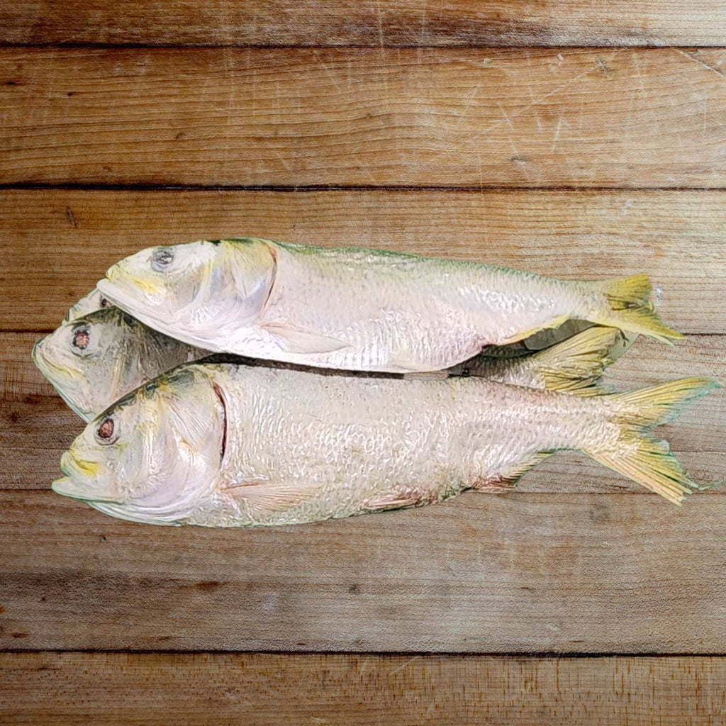 Freeze Dried Dog Treats - Freeze Dried Menhaden Medium (Each) - Dog.Dog.Cat.