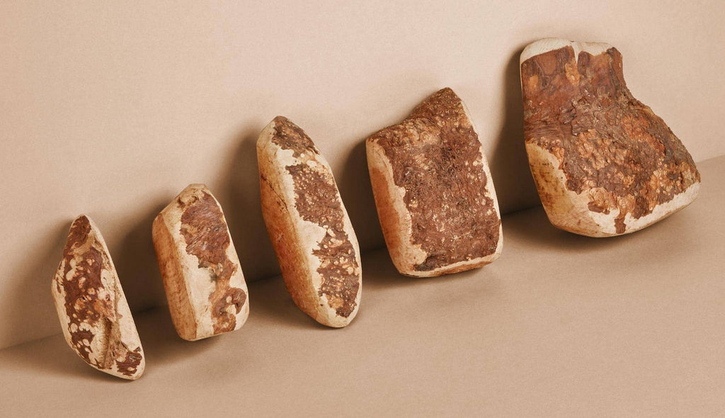 Dog Chew Made of Briar Root. - Dog.Dog.Cat.