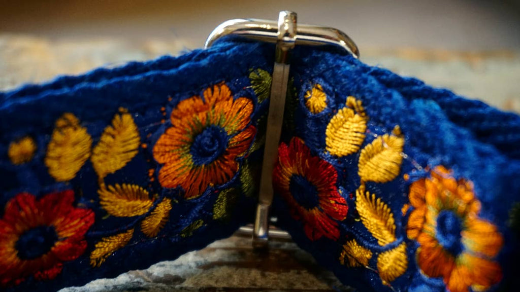 hundsfutter - “Summertime” wide collar for large and medium dogs - Dog.Dog.Cat.