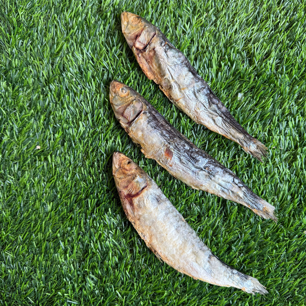 Golden Nibbles - Sardines - 5" to 7" in & Freeze-Dried Treat for Dogs & Cats - Dog.Dog.Cat.