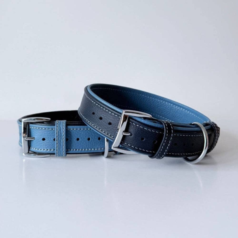 Premium Leather Dog Collar | Navy Blue & Turquoise - Dog.Dog.Cat.