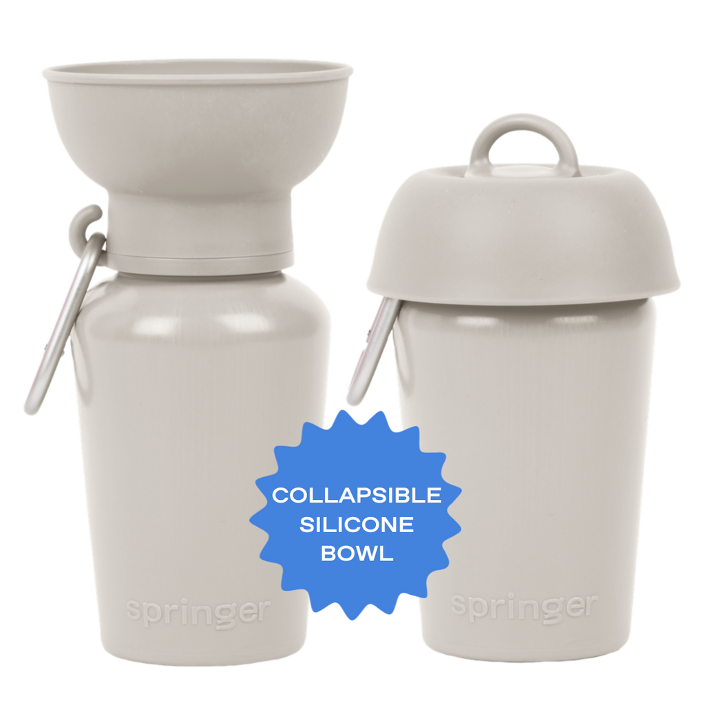 Dog Travel Water Bottle, 20oz, Flip Silicone - Dog.Dog.Cat.