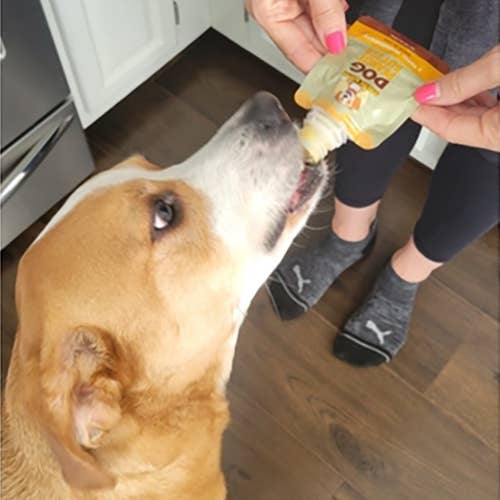 Dog Peanut Butter Squeeze Pack - 12oz - Dog.Dog.Cat.