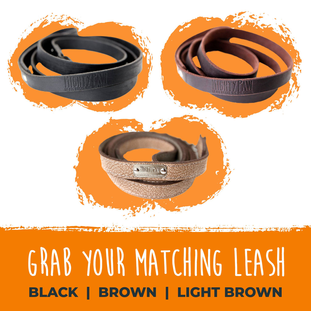 Mighty Paw - Leather Dog Collar - Distressed - Dog.Dog.Cat.