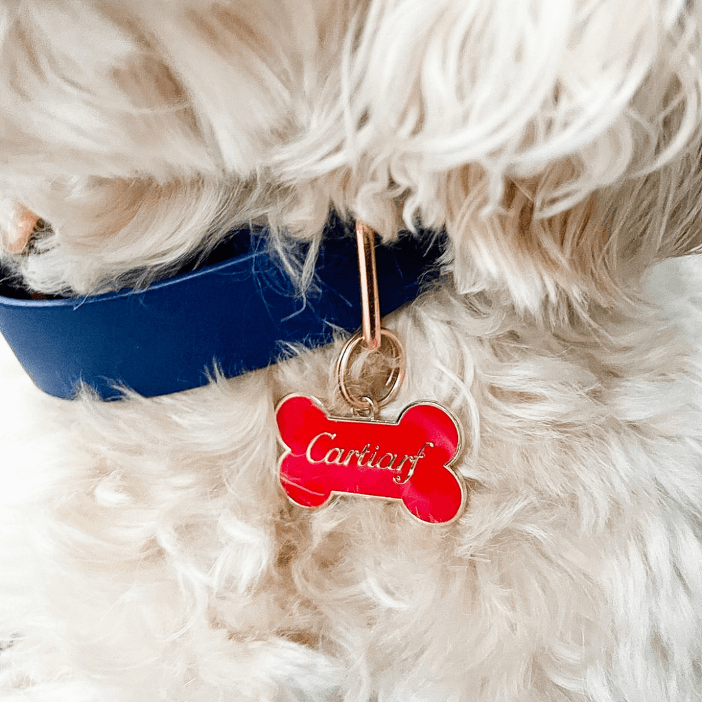 Cartiarf Pet ID Tag - Dog.Dog.Cat.