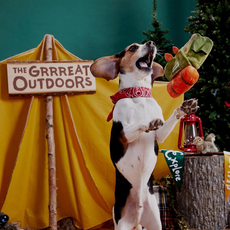 Bark Rowdy Ruckus Rucksack Plush Dog Toy Small / Medium - Dog.Dog.Cat.