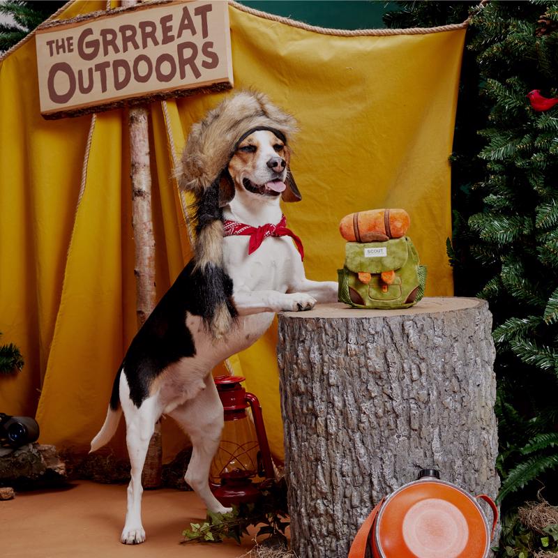 Bark Rowdy Ruckus Rucksack Plush Dog Toy Small / Medium - Dog.Dog.Cat.