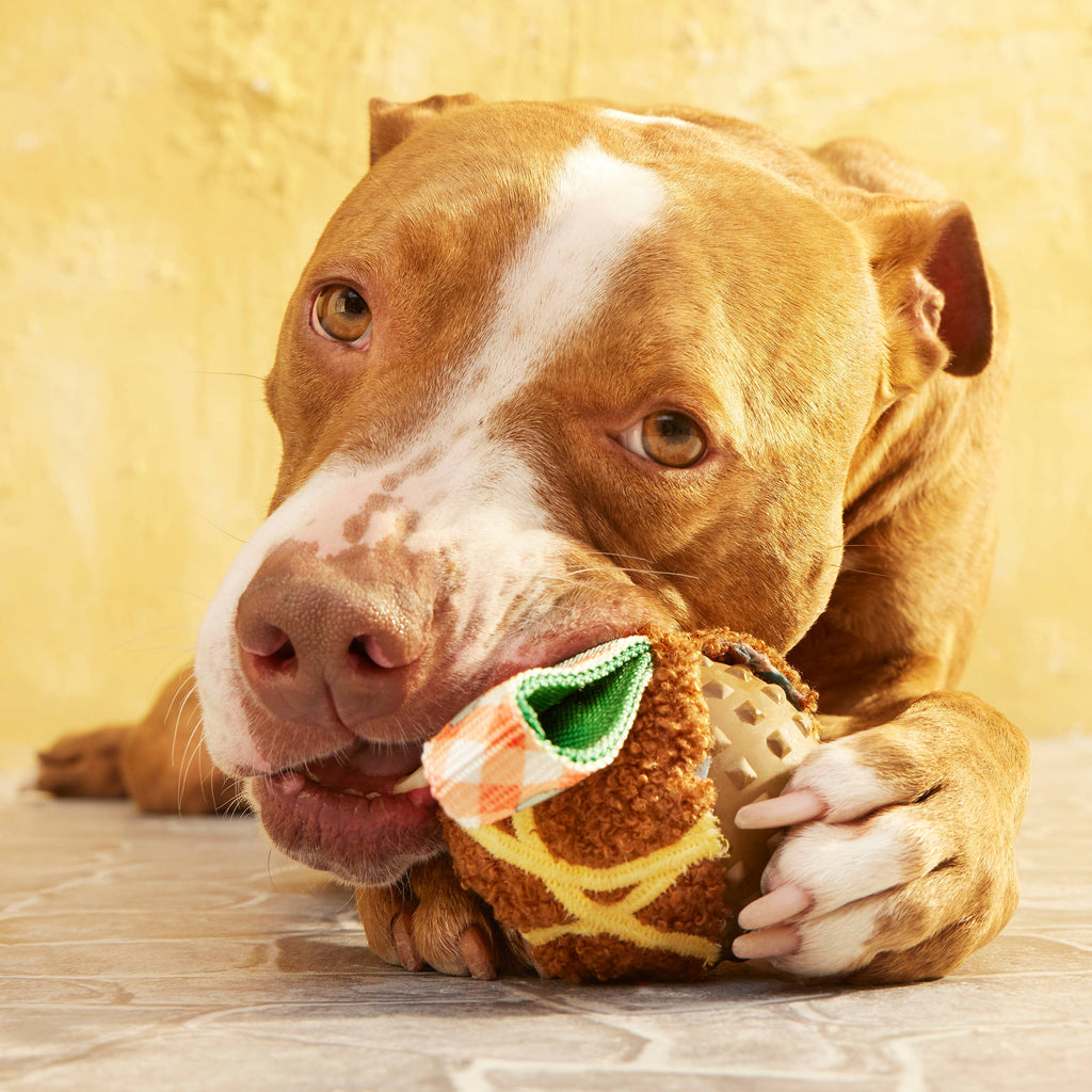 BARK Super Chewer A Squeaky Meat-A-Ball Dog Chew Toy M - Dog.Dog.Cat.