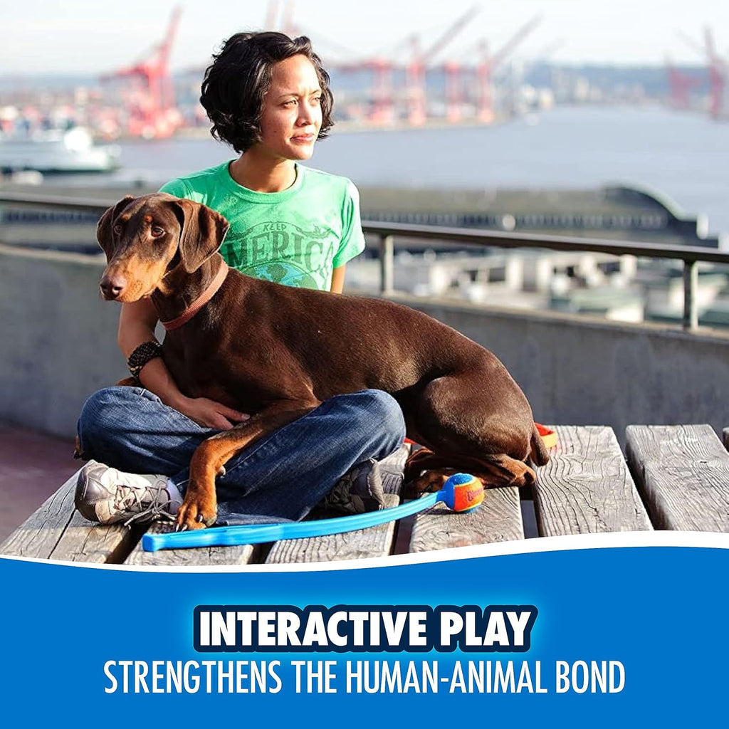 Chuckit! Dog Ball Launcher - Classic 26" with Medium (2.5"), Dog Fetch Ball Thrower, Made in USA - Dog.Dog.Cat.