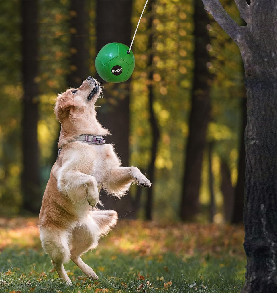 Spot Tether Ball w Rope Dog Toy - Dog.Dog.Cat.