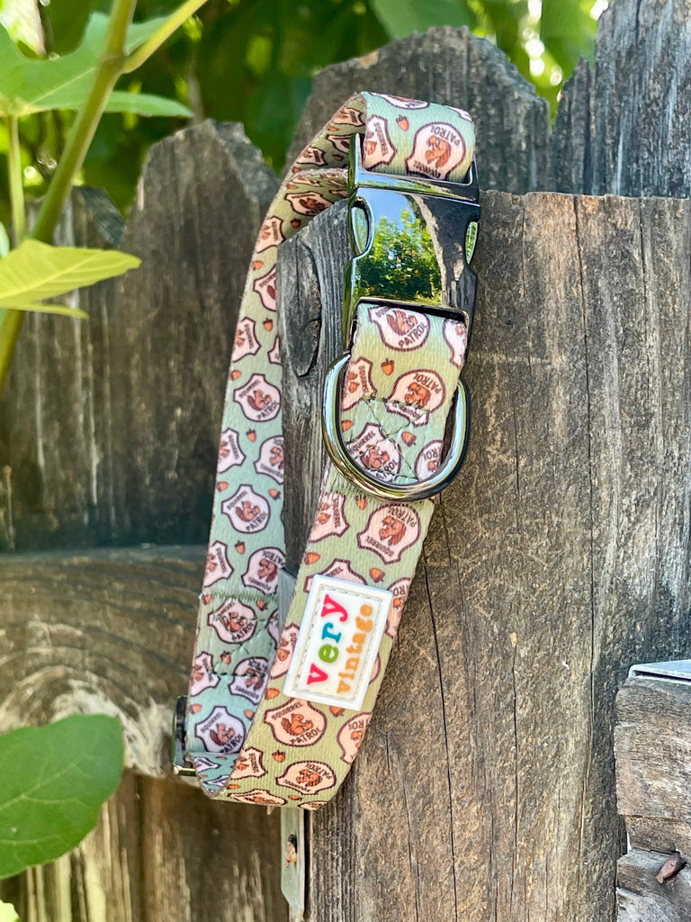 Very Vintage Designs - Squirrel Patrol - Green Squirrel Recycled Collar & Leash - Dog.Dog.Cat.