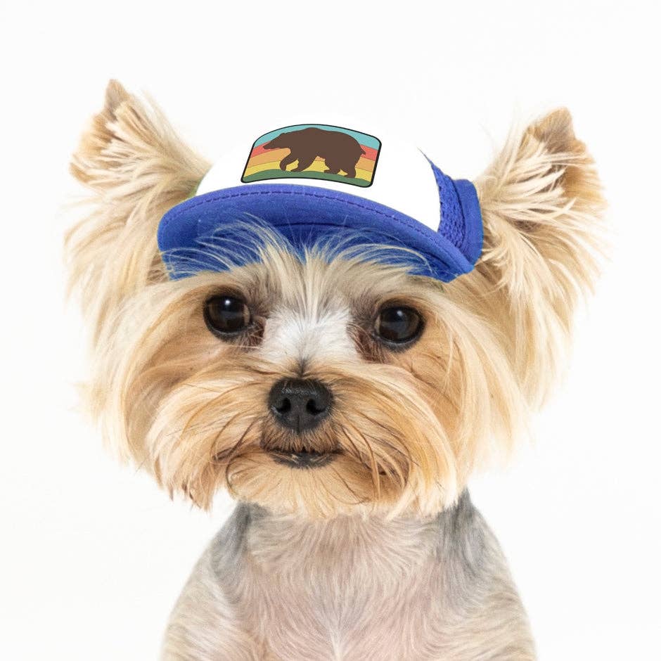 Bear Standard Lake Tahoe | Trucker Hat for Dogs - Dog.Dog.Cat.